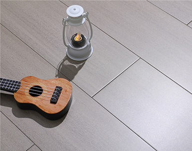 圆盘豆白云玉月S146